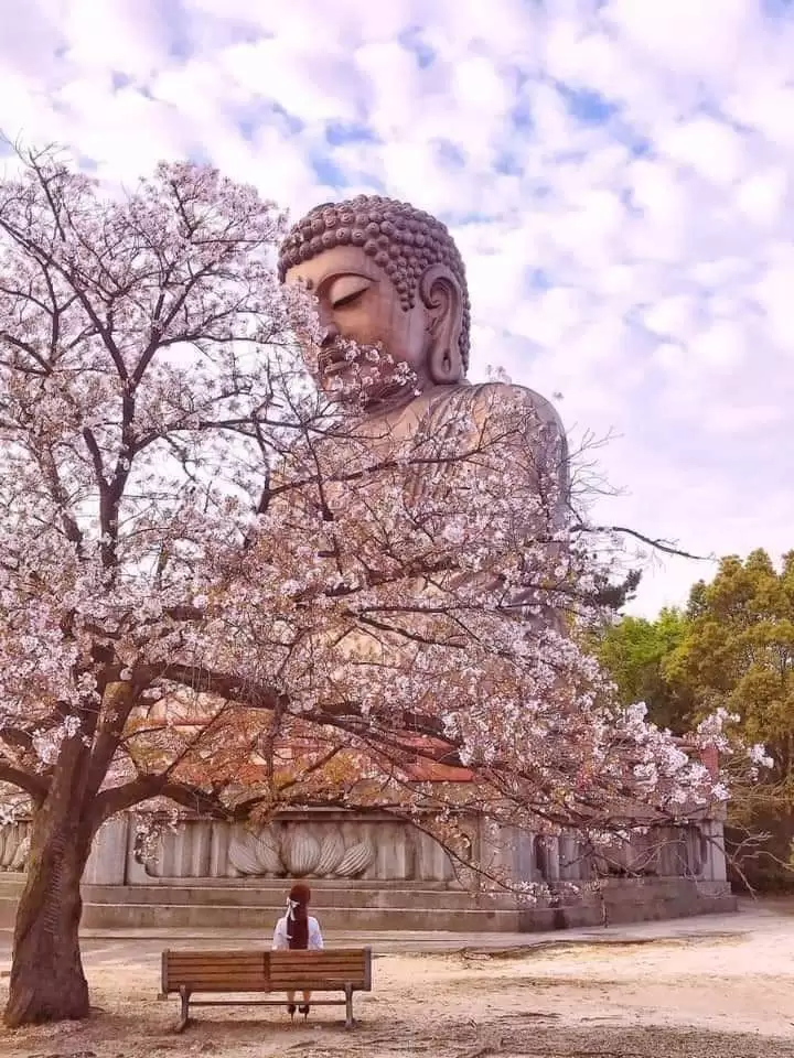 BÌNH YÊN…