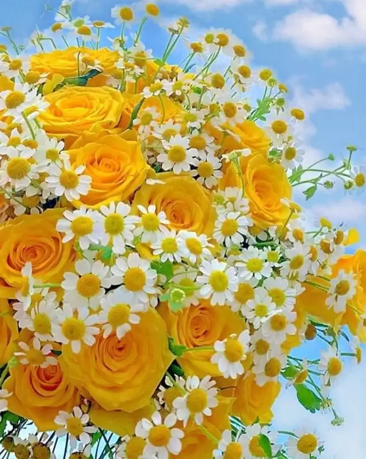 HỨA VỚI ANH …