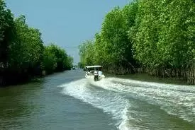 Anh đến quê em