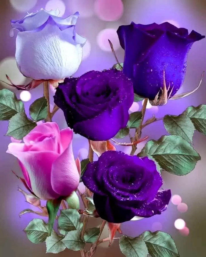 YÊU